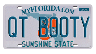Illustration for article titled 1,800 license plates banned by Florida's DMV